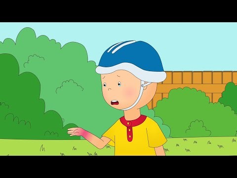 Day skateboarding! | Caillou - WildBrain | Learning for Children
