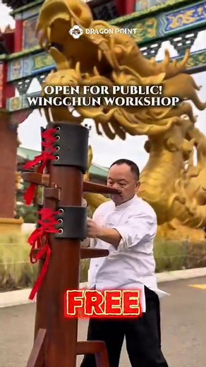 Wing Chun work shop at dragon point on 29 nov | Peter
