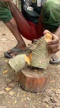 Amazing Luxury Water Glass Made from a Bamboo Root | 100% Eco-Friendly
