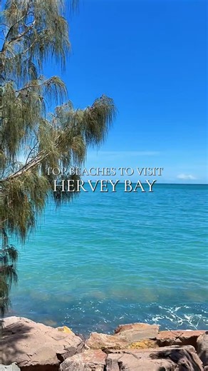 Hervey Bay Luxury Short Stay Management on Instagram: "Hervey Bay is home to some of Queensland’s most stunning beaches. Don’t miss Torquay Beach, Lifesavers, and Shelly Beach, each offering its own unique charm. Plus, there are so many more beautiful beaches waiting to be explored, perfect for relaxing, swimming, or catching that iconic sunset☀️ #maefox #airbnbmanagement #shortstays #herveybay #herveybayholiday #airbnbsuperhost #maefox&co"