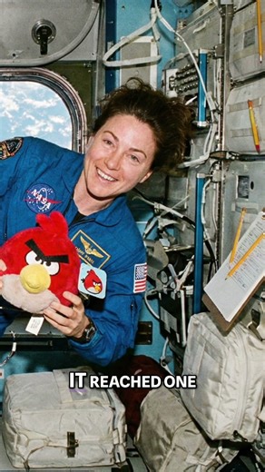 The Game That Conquered the World: Over a Billion Downloads!