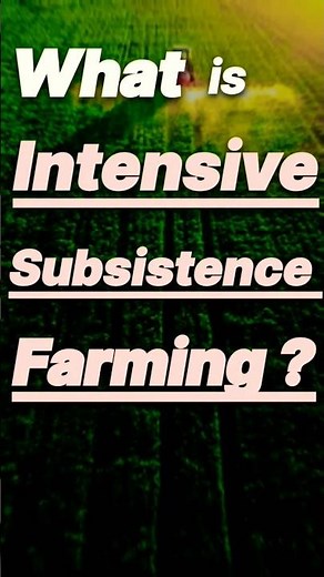 Intensive subsistence farming | features of intensive subsistence farming | agriculture | geography