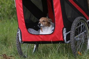 5 SAFEST Dog Bike Trailers 2026: Don't Settle For A Dangerous Carrier!
