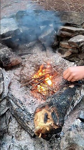 Perch Catch and Cook Over Fire
