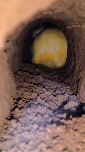 Beautiful rabbit digging hole #rabbit #bunny #cuterabbit #RabbitLife | All Time Best Fun Tv