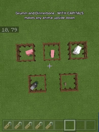 Minecraft on TikTok