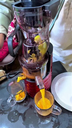 Ultimate Guide to Using Your Imported Juicer Machine