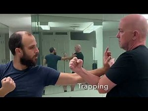 💥 The Kiu Sau (Bridge Hand 橋手) Southern Kung Fu’s Signature Gesture