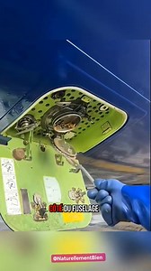 Les Techniciens des Toilettes d'Avion : Le Métier Inconnu mais Essentiel ! ✈️🧴 #savoir #culture #éducation #SaviezVous #Curiosité #aviation | Naturellement Bien