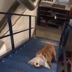 Trying to reach the end of Dry Janurary! | 98FM