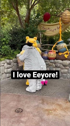 Eeyore is so sad! // Disneyland