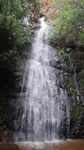 The rain has really done its magic! The waterfall is flowing strong and filling up the new dam quickly! 24ml of rain will definitely make a big difference. Nature's beauty is on full display! | Waterfall Safari Lodge