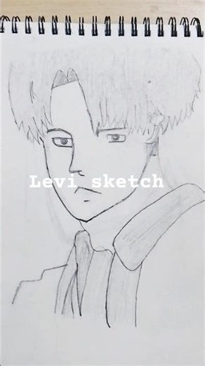 levi sketch
