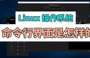 Linux 操作系统的命令行界面是怎样的？