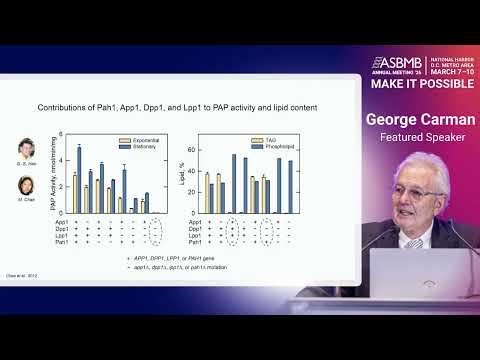 George Carman: Phosphatidic acid phosphatase in lipid regulation