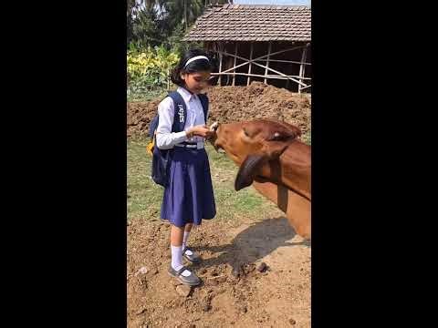 Kritika Channel Live video