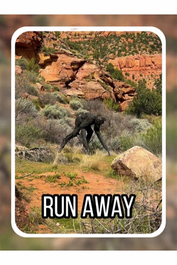 If encounter something like this am l ever going home? #science #popular #usa #run