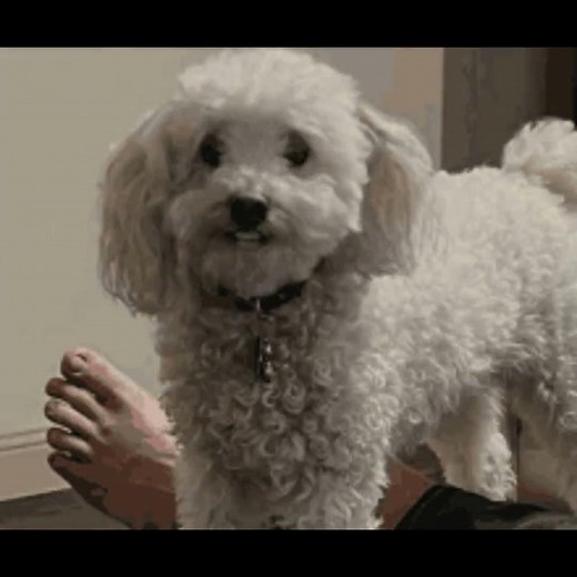 Imma Pull Up To You Block, With Intelligence