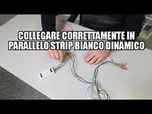 Collegare CORRETTAMENTE in parallelo strip LED BIANCO DINAMICO