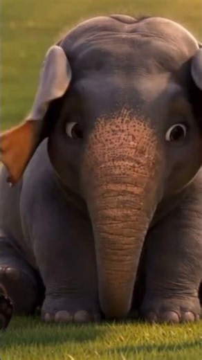 🌿#Panda #Elephant #Tortoise #Jungle #Cartoon #Funny #ViralVideo #Shorts #Kids #Animation #Trending