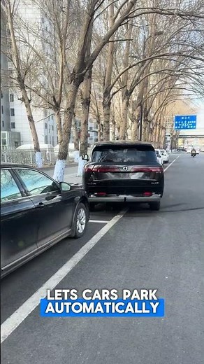 Brilliant Parallel Parking System