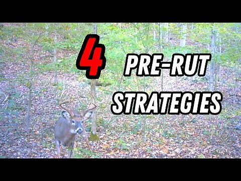 4 Strategies for Hunting the Pre-Rut