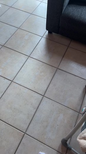 Hilarious Clown Behavior Compilation | Jess Diener