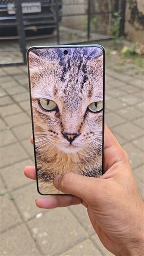 We Tech | Oneplus 13 Camera Test 🐈 #oneplus13series #oneplus13cameratest #oneplus13zoomtest #oneplus13 #oneplus #zoomtest #cameratest #cat #wetech... | Instagram