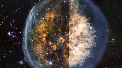 PMR 1—The Exposed Cranium Nebula: MIRI & NIRCam images | Webb Telescope Support FriendsofNASA.org: Nebula PMR 1 is a cloud of gas and dust located in the Vela constellation that bears an uncanny resemblance to a brain in a transparent skull, inspiring its nickname, the “Exposed Cranium” nebula. The NASA/European Space Agency/Canadian Space Agency James Webb Space Telescope Webb captured its unusual features in both near- and mid-infrared light using two instruments that reveal enhancing details