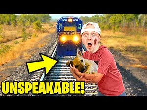 7 YouTubers Who SAVED ANIMALS LIVES! (Unspeakable, MrBeast & LankyBox)