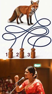 1.7M views · 15K reactions | এই ধাঁধার উত্তর শুধু চোখে নয়, বুদ্ধি দিয়ে খুঁজে বের করতে হয়। #reelsviralシ #followers #highlights #ধাঁধা | Inner Voice of Sahid | Facebook