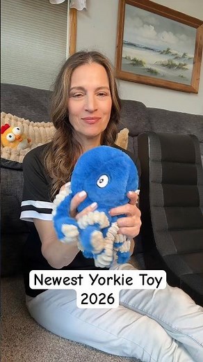 A fun, new interactive dog toy for your Yorkie, toy, poodle, Maltese, or Yorkiepoo!