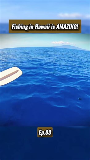 Fishing in Hawaii 🤓 #fishing #fish #ace #fishingvideos #survivalchannel