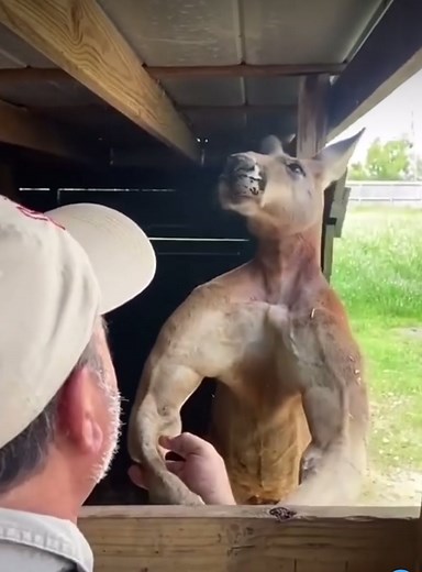 Bicycle Works on TikTok