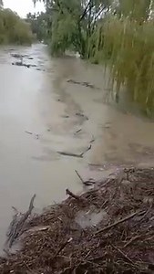 8.2K views · 128 reactions | Macintyre River at Elsmore to the east of Inverell 7am this morning with a nice flow☔ Sent into storm watch by Dave Evo Via NSW Storm Watch Weather Spotter"s group | New South Wales STORM WATCH | Facebook