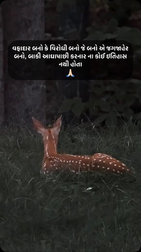 Sachi vat na.. 😊😔😔 . . . Follow: @tringu.editor for more re Turn on post notification अति उन्हे पढ़ना पड़ता है..! Don’t forget to follow Like❤comment💌 share👍save😊 . . . . Background: Pinterest . Quotes: Dm . . . . . #writingcommunity #poetrycommunity #poetess #poet #love #cutecouples #poetry #poetryofinstagram #writersofinstagram #writers #dard #sad #dilkibaat #yqhindi #gulzaarsaab #gulzarshayari #gulzariyat #gulzarpoetry #gulzar #explorepage #explore #shayar #shayarioftheday #shayriquotes