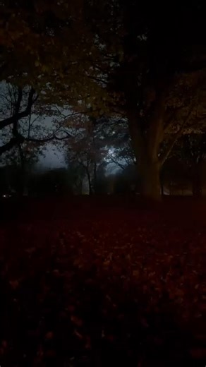 The gates are open at Buile Hill Park! 🎉 The park’s transformed with the Firewalk, marshmallow toasting pits, funfair and food stalls. Thanks to our event sponsors for making it all possible 💚 Please park responsibly around the park. Last minute parking 👉 https://orlo.uk/ZM0c6 | Salford City Council