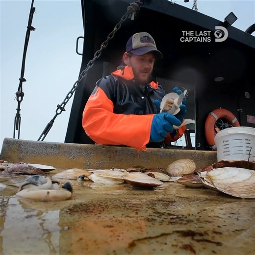 3.7M views · 53K reactions | It's the first scallop day of the year, and these captains are making the most of the violent ocean waves. Don't miss #TheLastCaptains tonight at 11P on Discovery. | Discovery | Facebook