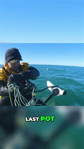 Last Crab Pot Pull! 2 Dungeness Caught (Tiny!) #shorts