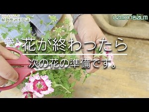 #51 "When the flowers fade. Time to prepare for the next bloom. Let's prune."