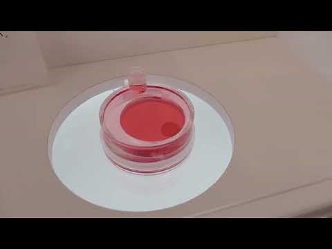 大阪・関西万博 拍動するiPS細胞由来心筋シート 大阪ヘルスケアパビリオン