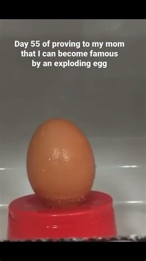 Day 55 of proving to my mom that I can become famous by an exploding egg