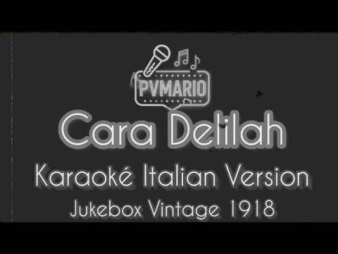 Cara Delilah (Hey There Delilah) - Plain White T's | Italian Karaoke 🎤 Instrumental (Con Testo)
