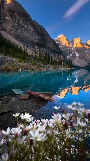 Paisajes Naturales Increíbles 🌿 | Vistas Hermosas y Relajantes #calma #naturaleza #shortsfeed