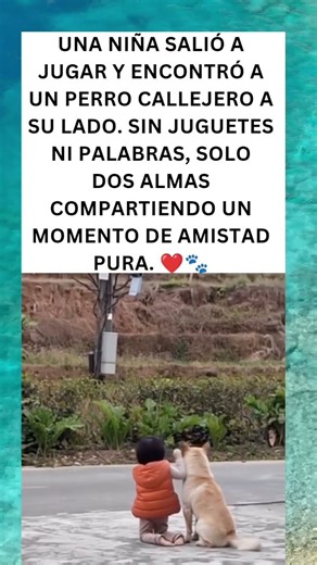 🐾❤️ Una Niña y un Perro Callejero Compartieron un Momento Mágico