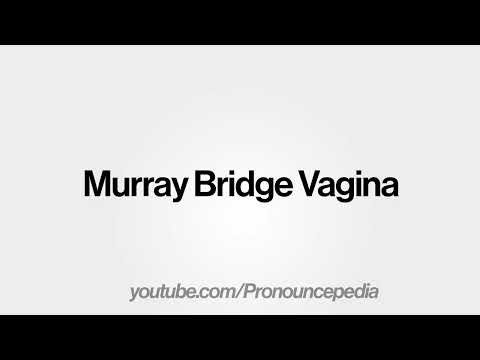 How to Pronounce Murray Bridge Vagina in American English