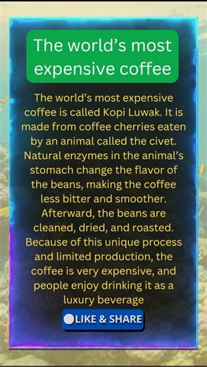 World’s Most Expensive Coffee Explained: Why Kopi Luwak Is So Costly#MostExpensiveCoffee#KopiLuwak