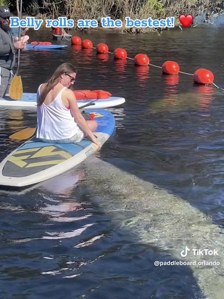 Paddleboard Orlando on TikTok