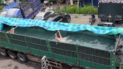 Men cool off in makeshift pool inside truck bed