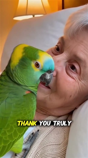 Parrot Comforts Lonely Elderly Woman 💔🦜 | You Are Never Alone